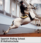 spanish riding school